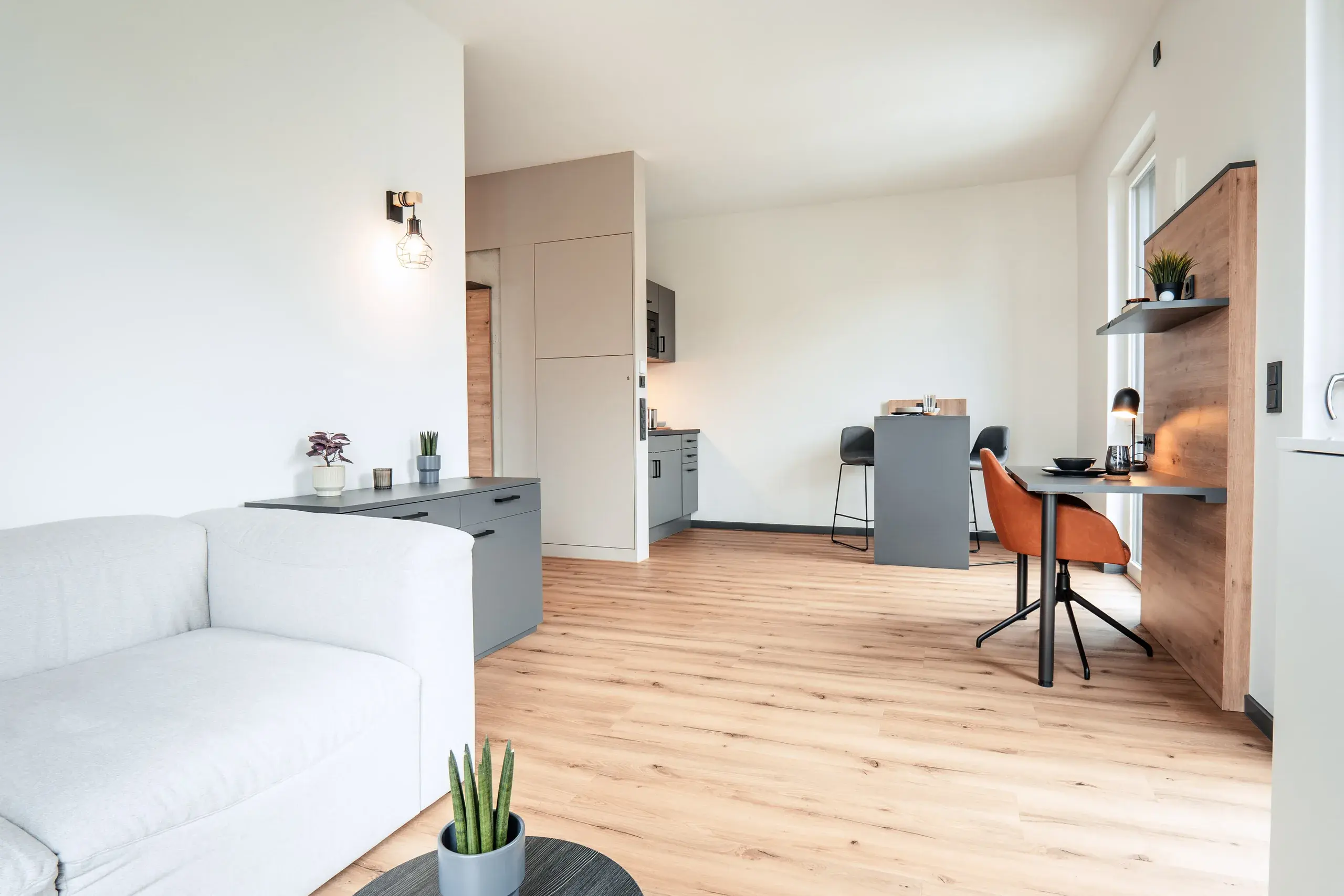 Deluxe Apartment