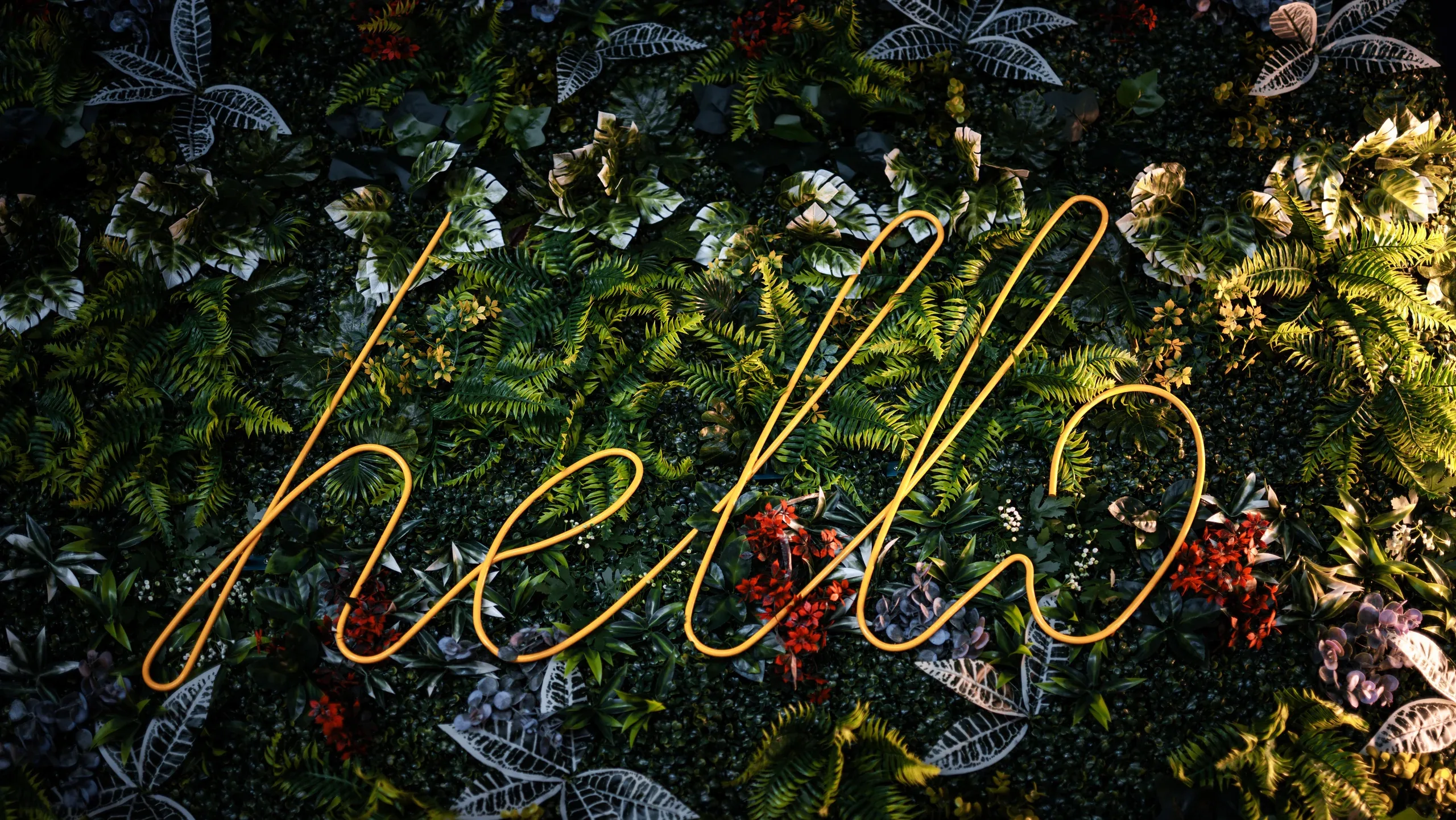 Pflanzenwand mit Hello-Neonschriftzug in der Lounge der Eighty-Eight Apartments Nürnberg